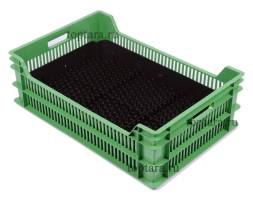 Ящик пластиковый с лотком для гидропонной выгонки тюльпанов, 600х400х190 мм, зеленый [600400190-02-2]